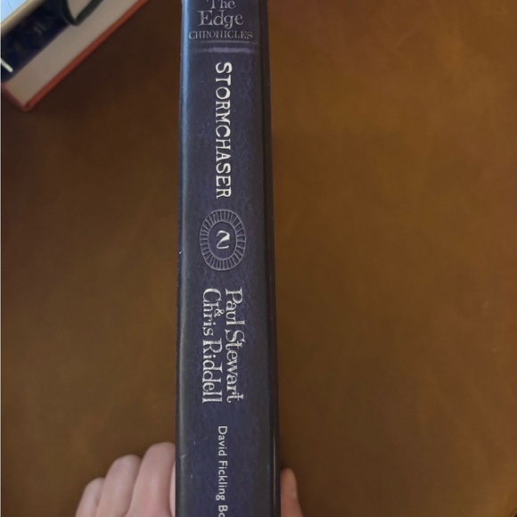 The Edge Chronicles: Stormchaser Book #2 EUC - Picture 2 of 3